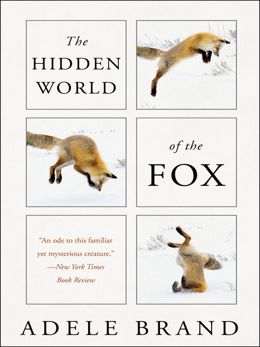 Title details for The Hidden World of the Fox by Adele Brand - Available